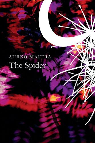 Паперова книга «The Spider», автор Аурко Майтра - фото №1