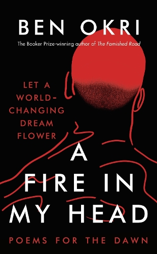 Бумажная книга «A Fire in My Head», автор Бен Окри - фото №1