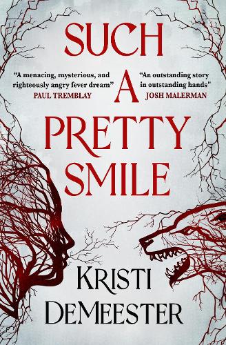 Бумажная книга «Such a Pretty Smile», автор Кристи ДеМистер - фото №1