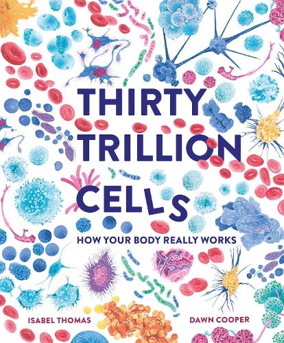 Бумажная книга «Thirty Trillion Cells: How Your Body Really Works», автор Изабель Томас - фото №1