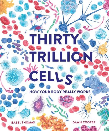 Бумажная книга «Thirty Trillion Cells: How Your Body Really Works», автор Изабель Томас - фото №1