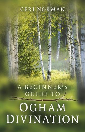 Паперова книга «Beginner's Guide to Ogham Divination, A», автор Сері Норман - фото №1