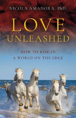 Паперова книга «Love Unleashed: How to Rise in a World on the Edge», автор Нікола Амадора - фото №1