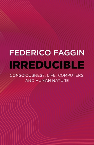 Бумажная книга «Irreducible: Consciousness, Life, Computers, and Human Nature», автор Федерико Фаджин - фото №1