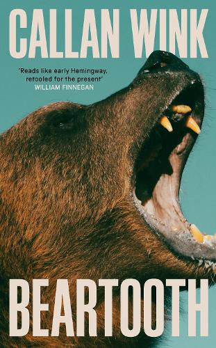 Бумажная книга «Beartooth», автор Каллан Винк - фото №1