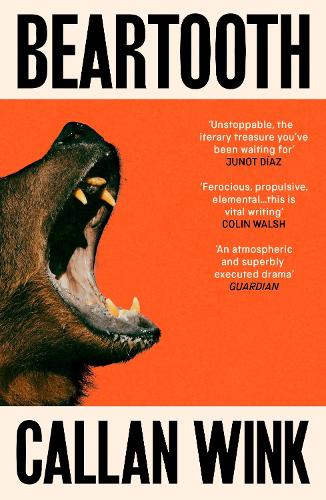 Бумажная книга «Beartooth», автор Каллан Винк - фото №1