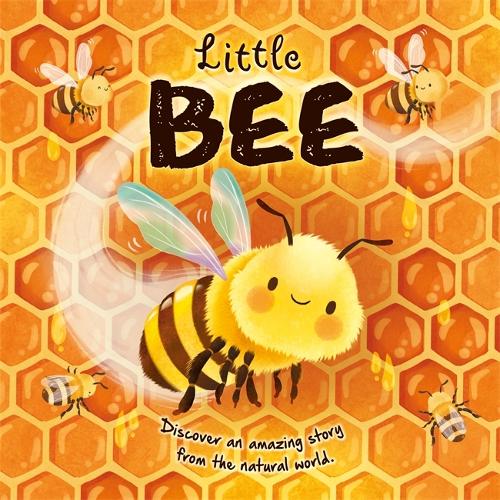 Паперова книга «Little Bee», автор Autumn Publishing - фото №1