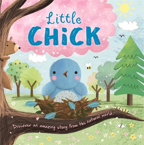Бумажная книга «Little Chick», автор Igloo Books - фото №1