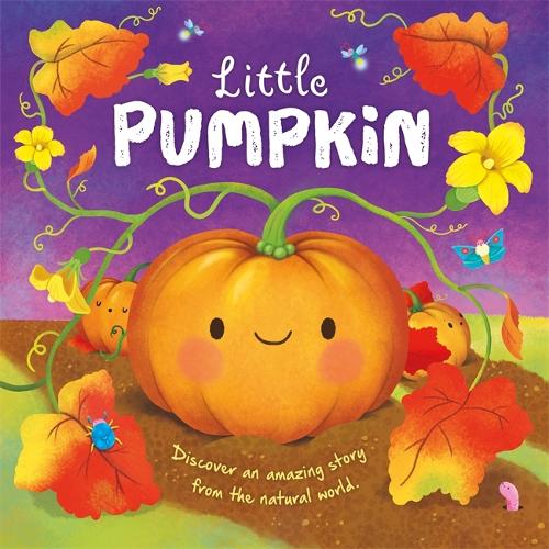 Бумажная книга «Little Pumpkin», автор Autumn Publishing - фото №1