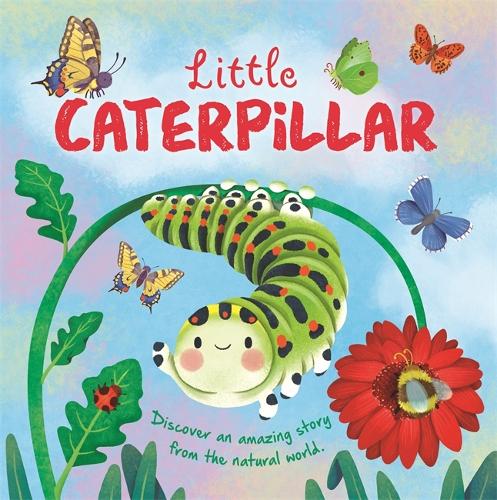 Бумажная книга «Little Caterpillar», автор Autumn Publishing - фото №1