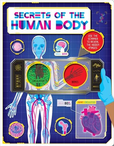 Бумажная книга «Secrets of the Human Body», автор Autumn Publishing - фото №1