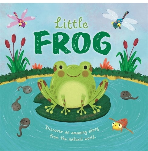 Бумажная книга «Little Frog», автор Autumn Publishing - фото №1