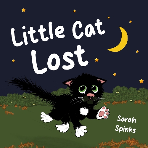 Паперова книга «Little Cat Lost», автор Сара Спінкс - фото №1