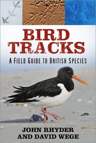 Бумажная книга «Bird Tracks: A Field Guide to British Species», автор Джон Райдер - фото №1