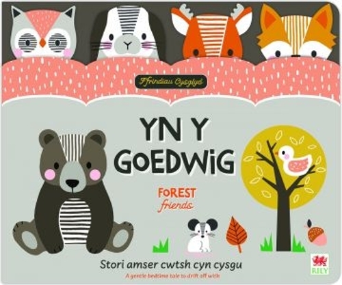 Бумажная книга «Ffrindiau Cysglyd: yn y Goedwig / Sleepyheads: Forest Friends» - фото №1