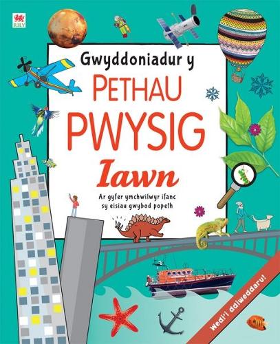 Паперова книга «Gwyddoniadur y Pethau Pwysig Iawn», автор Джеймс Мітчем - фото №1