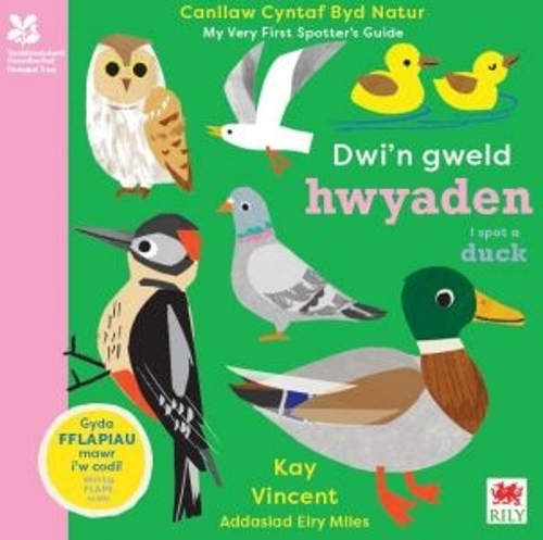 Бумажная книга «Dwi'n Gweld Hwyaden / I Spot a Duck: Canllaw Cyntaf Byd Natur / My Very First Spotter's Guide», автор Кей Винсент - фото №1
