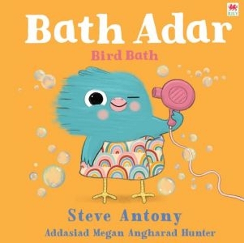 Бумажная книга «Bath Adar / Bird Bath», автор Стив Энтони - фото №1