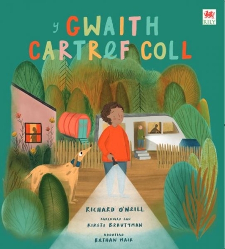 Бумажная книга «Y Gwaith Cartref Coll», автор Ричард О'Нил - фото №1