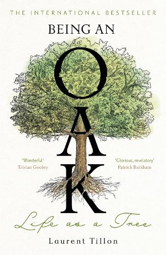 Паперова книга «Being an Oak: Life as a tree», автор Лоран Тіллон - фото №1