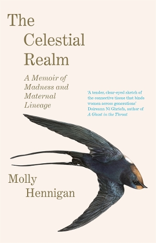 Бумажная книга «The Celestial Realm: SHORTLISTED FOR THE SUNDAY INDEPENDENT NEWCOMER OF THE YEAR IRISH BOOK AWARDS», автор Молли Хенниган - фото №1