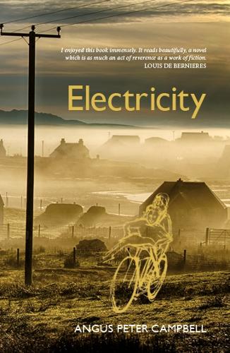 Бумажная книга «Electricity», автор Ангус Питер Кэмпбелл - фото №1
