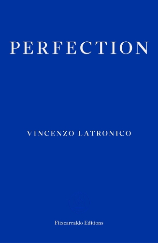 Бумажная книга «Perfection», автор Винченцо Латронико - фото №1