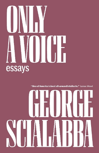 Бумажная книга «Only a Voice: Essays», автор Джордж Скиалабба - фото №1