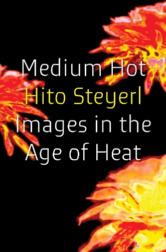 Бумажная книга «Medium Hot: Images in the Age of Heat», автор Хито Штайерль - фото №1