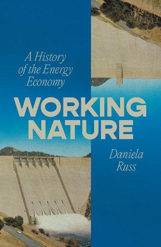 Бумажная книга «Working Nature: A History of the Energy Economy», автор Даниэла Русс - фото №1