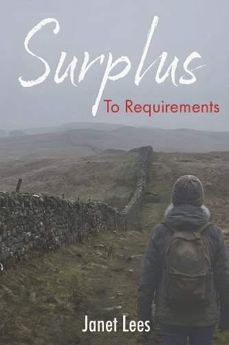 Бумажная книга «Surplus to Requirements», автор Джанет Лис - фото №1