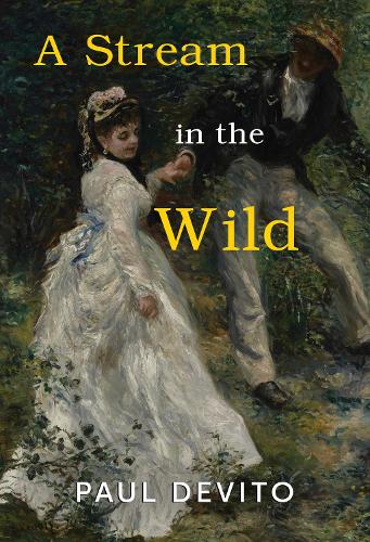 Паперова книга «A Stream in the Wild», автор Пол Девіто - фото №1