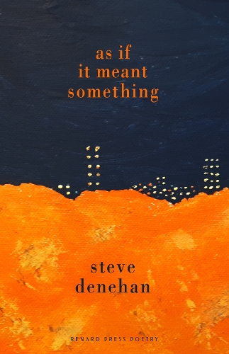 Бумажная книга «As if it Meant Something», автор Стив Денехан - фото №1