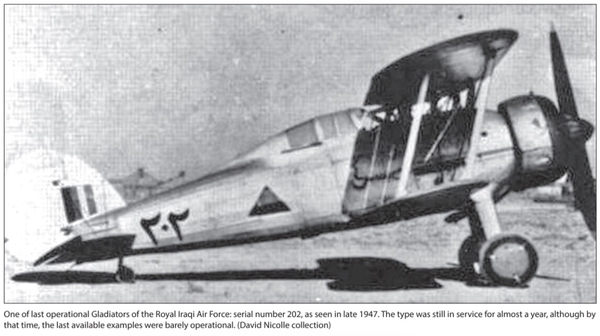 Бумажная книга «Air Power and The Arab World 1909-1955. Volume 9. The Arab Air Forces and a New World Order, 1946-1948», авторов Дэвид Николл, Габр Али Габр - фото №1