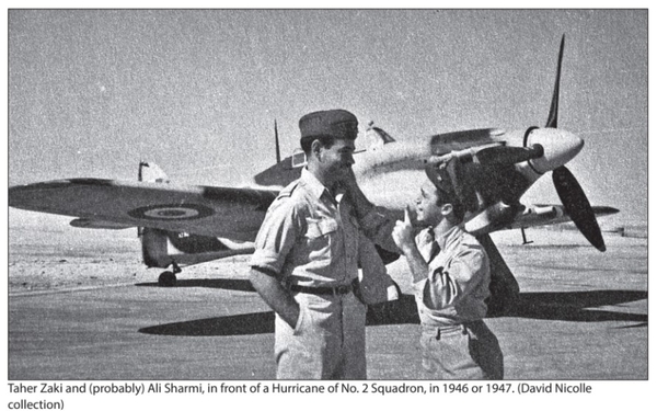Бумажная книга «Air Power and The Arab World 1909-1955. Volume 9. The Arab Air Forces and a New World Order, 1946-1948», авторов Дэвид Николл, Габр Али Габр - фото №1
