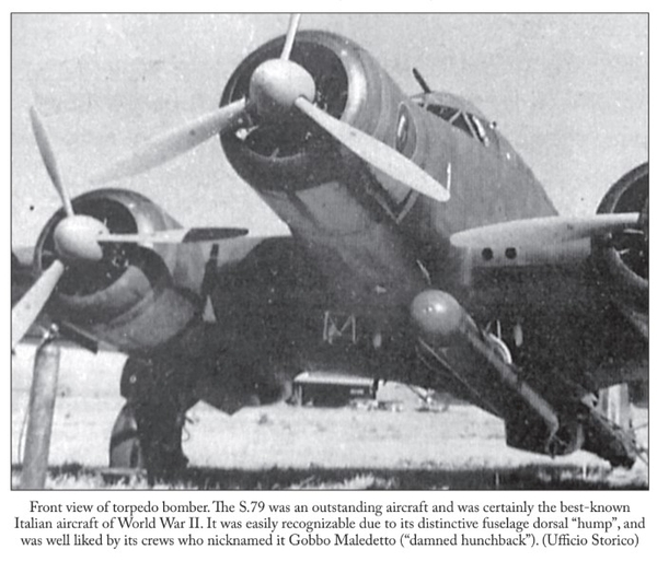 Бумажная книга «Damned Hunchbacks. Italy’s Forgotten Torpedo Bomber Units of the Second World War (1940-1943)», автор Паоло Мориси - фото №1