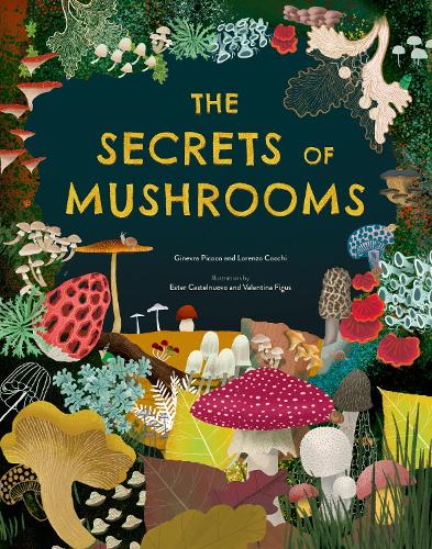 Бумажная книга «The Secrets of Mushrooms», авторов Джиневра Пикоко, Лоренцо Кокки - фото №1