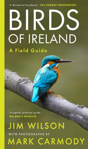 Паперова книга «Birds of Ireland», авторів Джим Вілсон, Марк Кармоді - фото №1