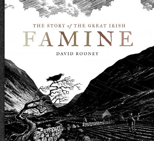 Паперова книга «The Story of the Great Irish Famine», автор Девід Руні - фото №1
