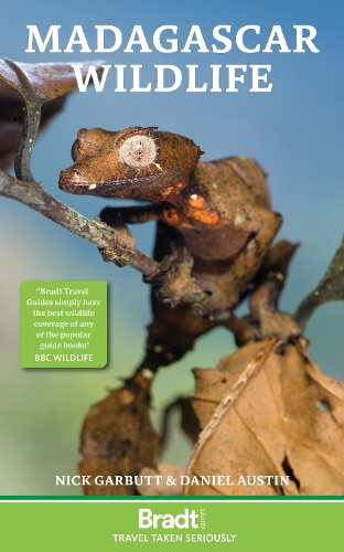 Бумажная книга «Madagascar Wildlife», автор Дэниел Остин - фото №1