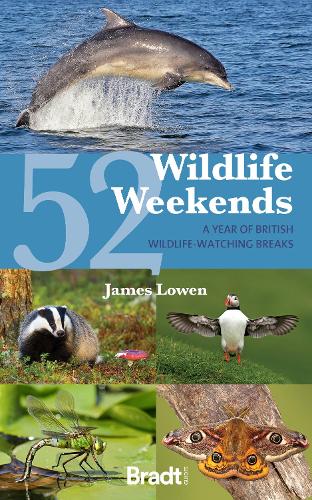 Бумажная книга «52 Wildlife Weekends: A Year of British Wildlife-Watching Breaks», автор Джеймс Лоуэн - фото №1