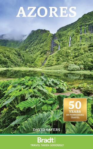 Бумажная книга «Azores», автор Дэвид Сэйерс - фото №1