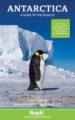 Бумажная книга «Antarctica : A Guide to the Wildlife», авторов Дафила Скотт, Тони Сопер - фото №1