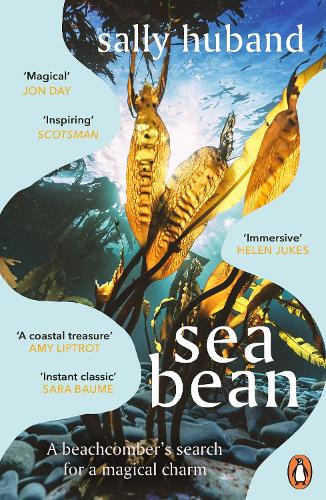 Паперова книга «Sea Bean», автор Саллі Г'юбанд - фото №1