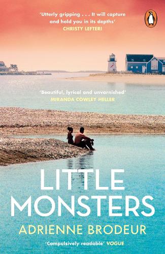 Бумажная книга «Little Monsters: PERFECT FOR FANS OF FLEISHMAN IS IN TROUBLE AND THE PAPER PALACE», автор Эдриенн Бродо - фото №1