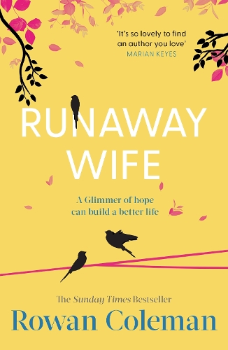 Паперова книга «Runaway Wife», автор Роуен Колман - фото №1
