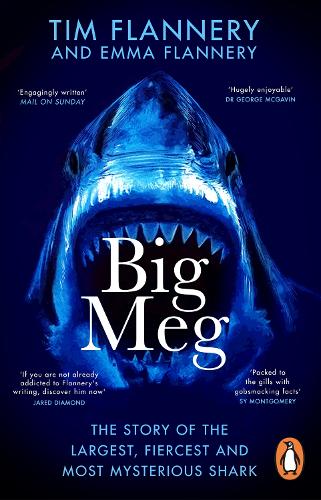 Паперова книга «Big Meg: The Story of the Largest, Fiercest and Most Mysterious Shark» - фото №1