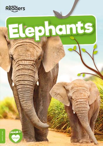 Бумажная книга «Elephants», автор Чарис Мазер - фото №1
