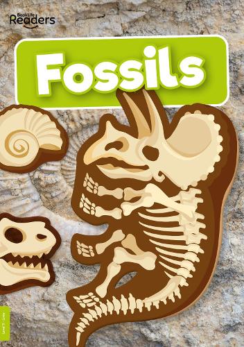 [object Object] «Fossils», автор Керсти Холмс - фото №1
