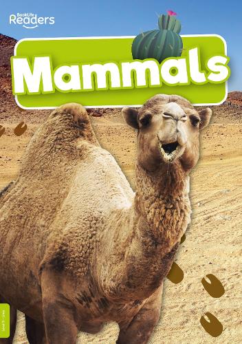 Бумажная книга «Mammals», автор Чарли Огден - фото №1